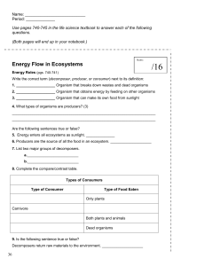 energy-flow-answer-key-worksheet-1