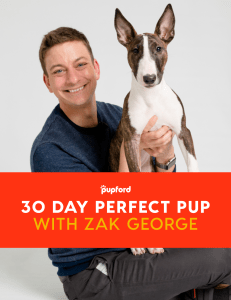 30-Day-Perfect-Pup-With-Zak-George