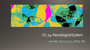 Ch. 24 Neurological System
