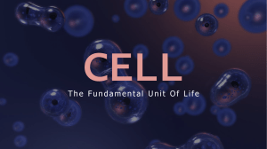 cellthefundamentalunitoflife-180820182355