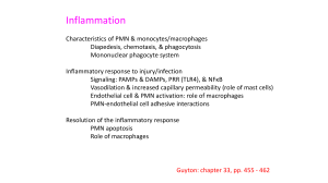 05. Inflammation I (2019) $