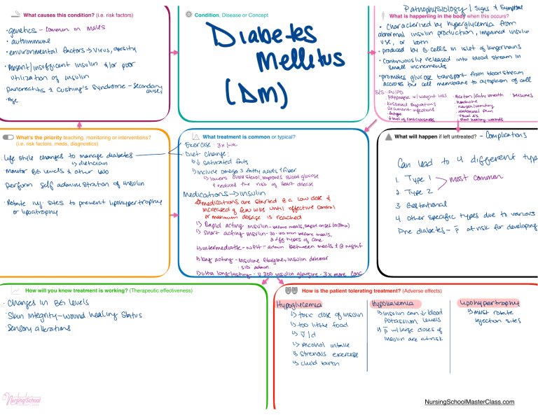 Diabetes Mellitus Concept Map