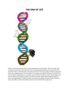 THE DNA OF LIFE