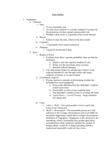 Torts Outline