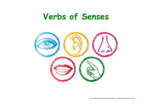 162809096-Verbs-of-Senses