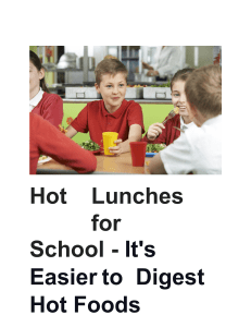 Hot Lunches for School - It's Easier to Digest Hot Foods