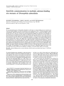 Interlobe communication in multiple calcium-binding Mukherjea ProteinScience 1996