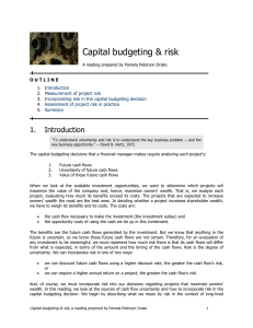 capital-budgeting-risk