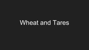 Tares and Wheat