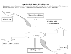 Activity Lab Safety Web Diagram