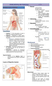 ANAPHY DIGESTIVE SYSTEM