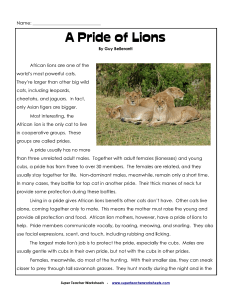 Pride-of-Lion