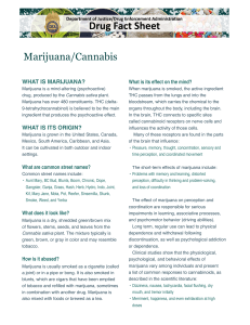 Marijuana-Cannabis-2020 0
