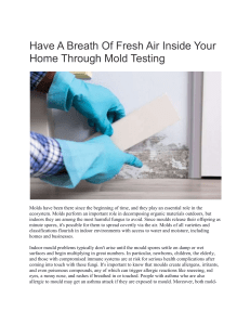 Have A Breath Of Fresh Air Inside Your Home Through Mold Testing