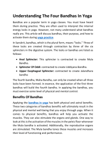 Understanding The Four Bandhas In Yoga
