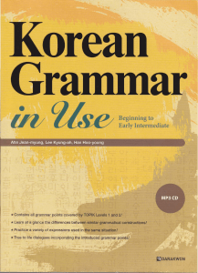 Korean Grammar in Use