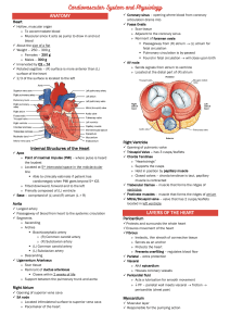 PHYSIO 06 Cardiovascular System