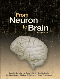 vdoc.pub from-neuron-to-brain-fifth-edition