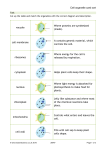 Animal and Plant cells