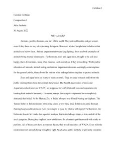 Animal Rights Essay with Works Cited Page