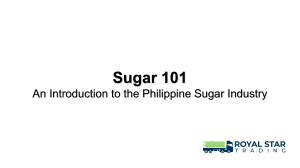 Sugar 101