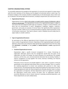 CHAPTER 6 ORGANIZATIONAL SYSTEMS