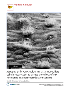 Mucosa-epithelia-sex-steroids2014-CastilloBriceno