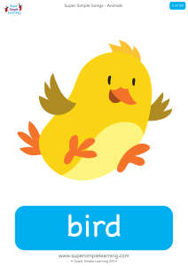 Super Simple Songs Animals: Bird Flashcard