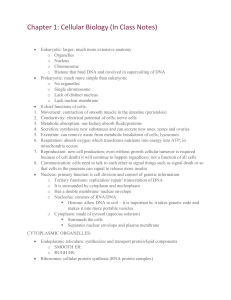 CH 1 - Pathophysiology Notes