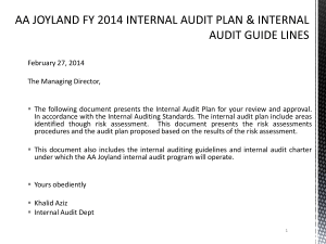 AA Joyland FY 2014 Internal Audit Plan & Guidelines