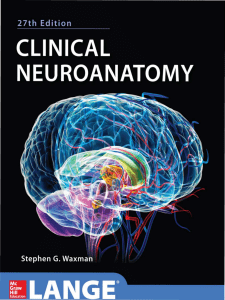 clinical neuroanatomy