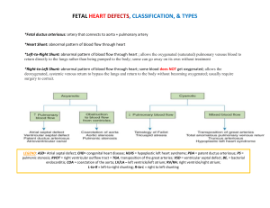 Heart defects in infants doc