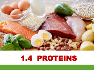 Proteins and Nucleic Acid