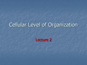2. Cellular Level of Organization