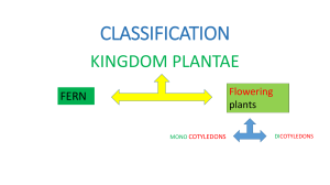 CLASSIFICATION OF PLANTS