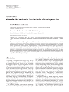 molecular-mechanisms-in-exercise-induced-cardioprotection