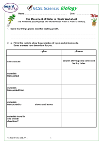 The Movement of Water in Plants Worksheet-1452166471