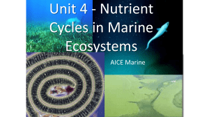 nutrient cycles in marine ecosystems part 1  2015-16 