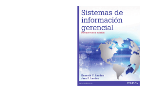 Sistemas de informacion gerencial Decimo