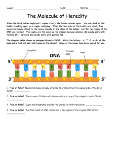 DNA Molecule of Heredity T/F Questions