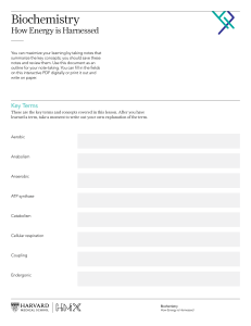 Biochemistry: How Energy is Harnessed - Lesson Outline