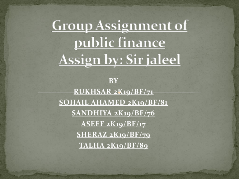 public finance assignment pdf