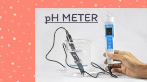 pH Meter