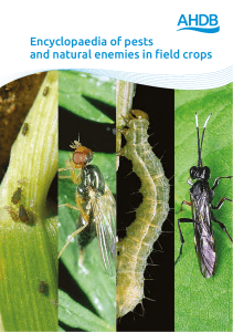 Encyclopaedia of pests and natural enemies in field crops
