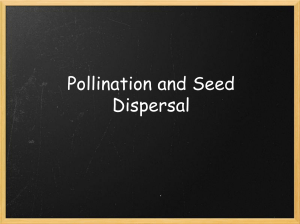 Pollination, Fertilisation, Seed Dispersal and Ger