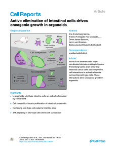 Active elimination of intestinal cells drives oncogenic growth in organoids