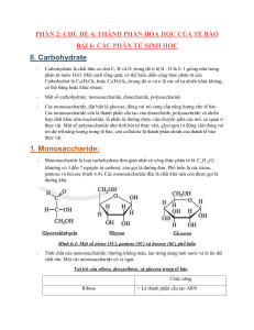 Carbohydrate