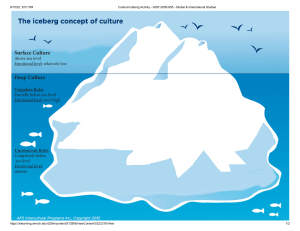 Cultural Iceberg Activity - GIST-2000-955 - Global & International Studies