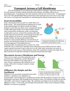 14 - Active vs Passive Transport Reading (2)