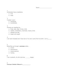 Animal Science Worksheet for Kids